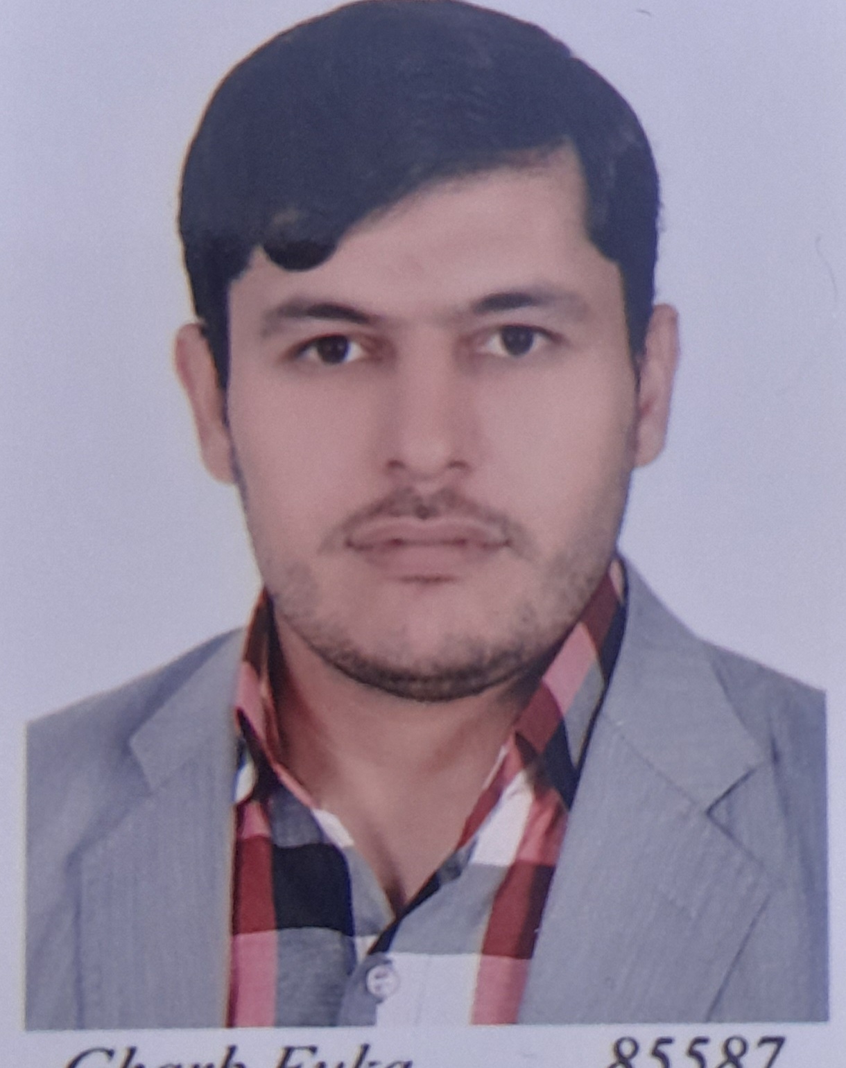 پروفایل یونس امیریان