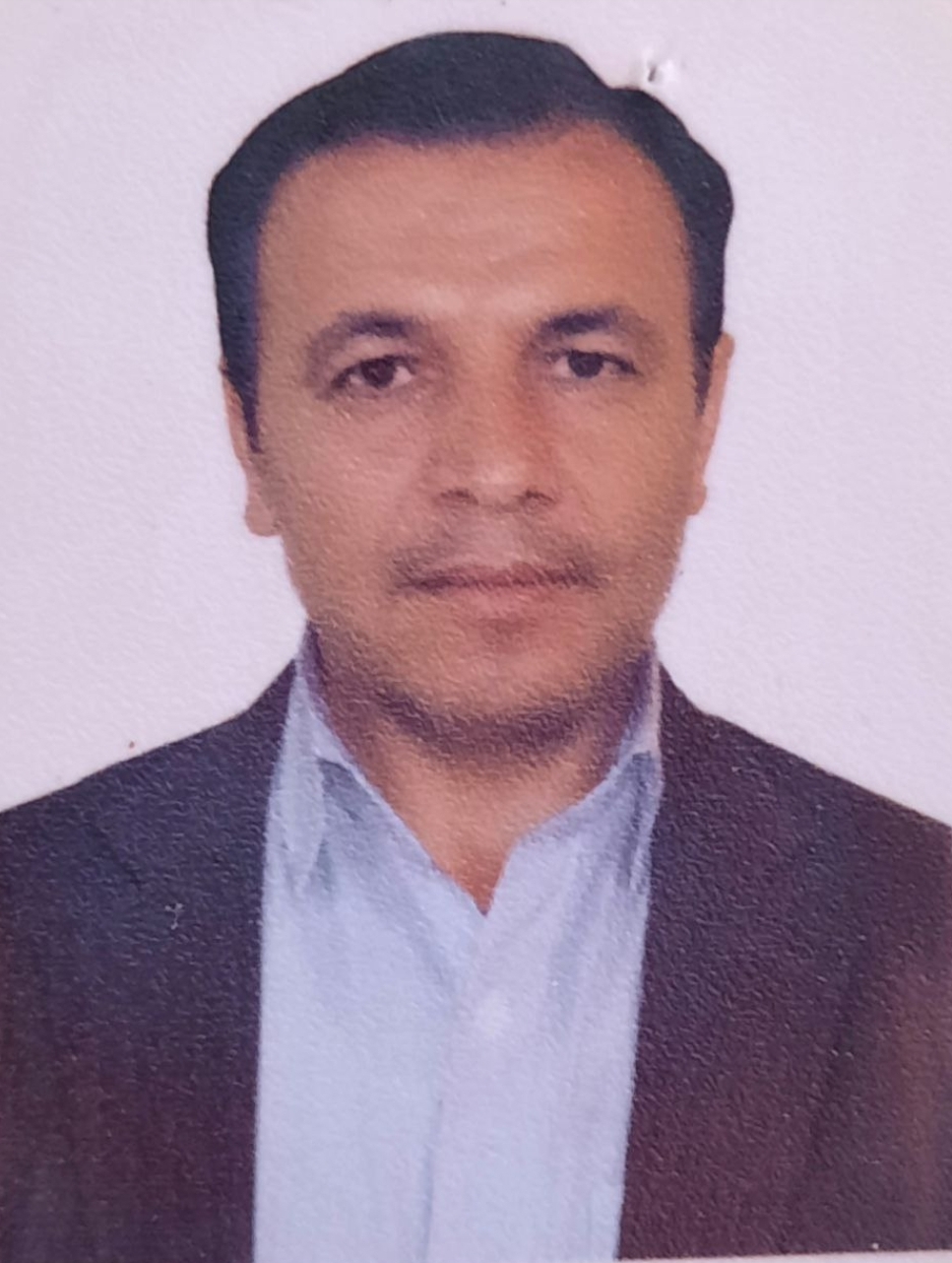 پروفایل حمیدرضا محمودی