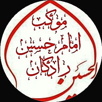 پروفایل محمد احمدی نیا