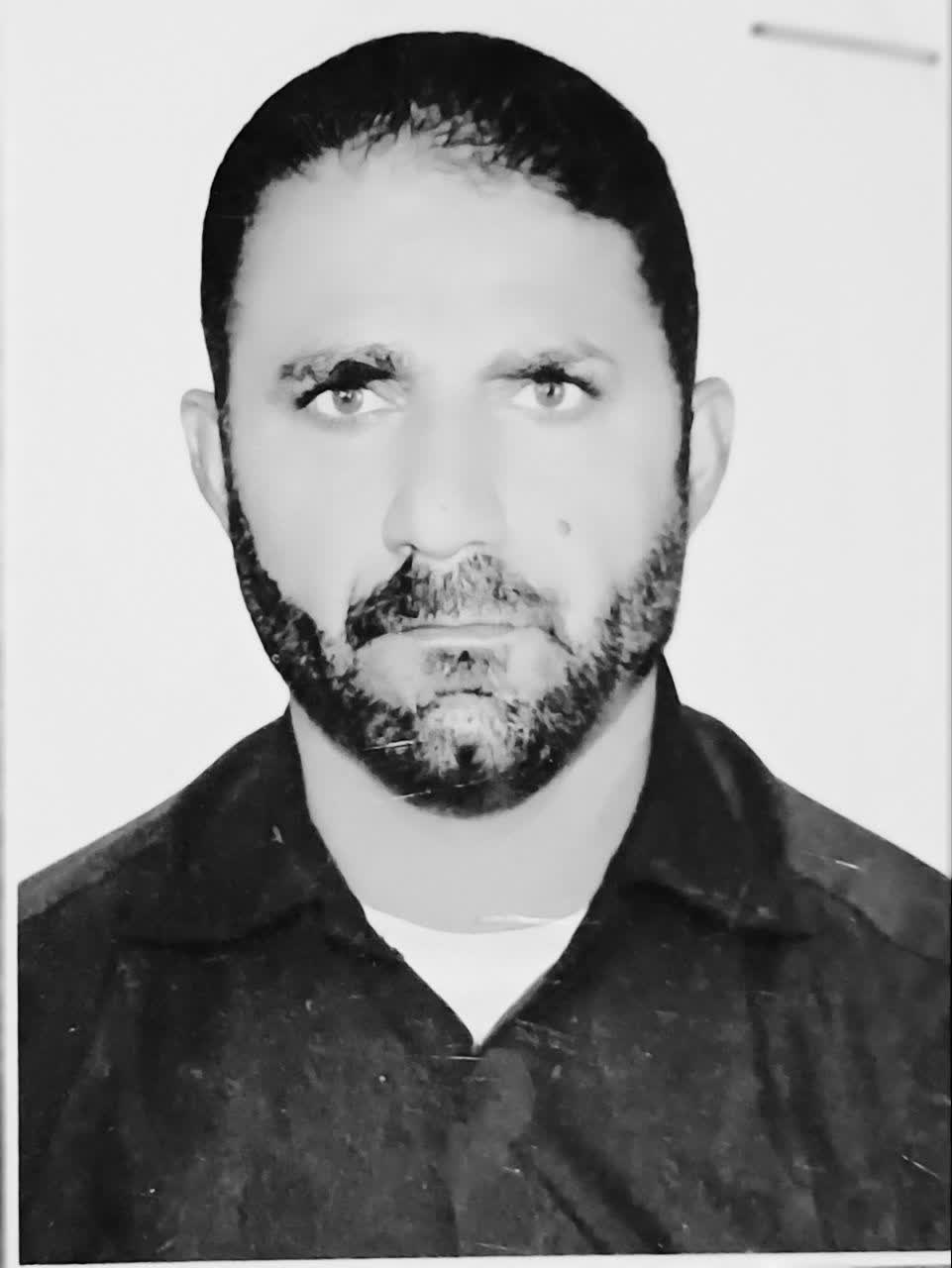 پروفایل ایرج کمالی