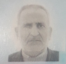 پروفایل علیرضا نوروزی