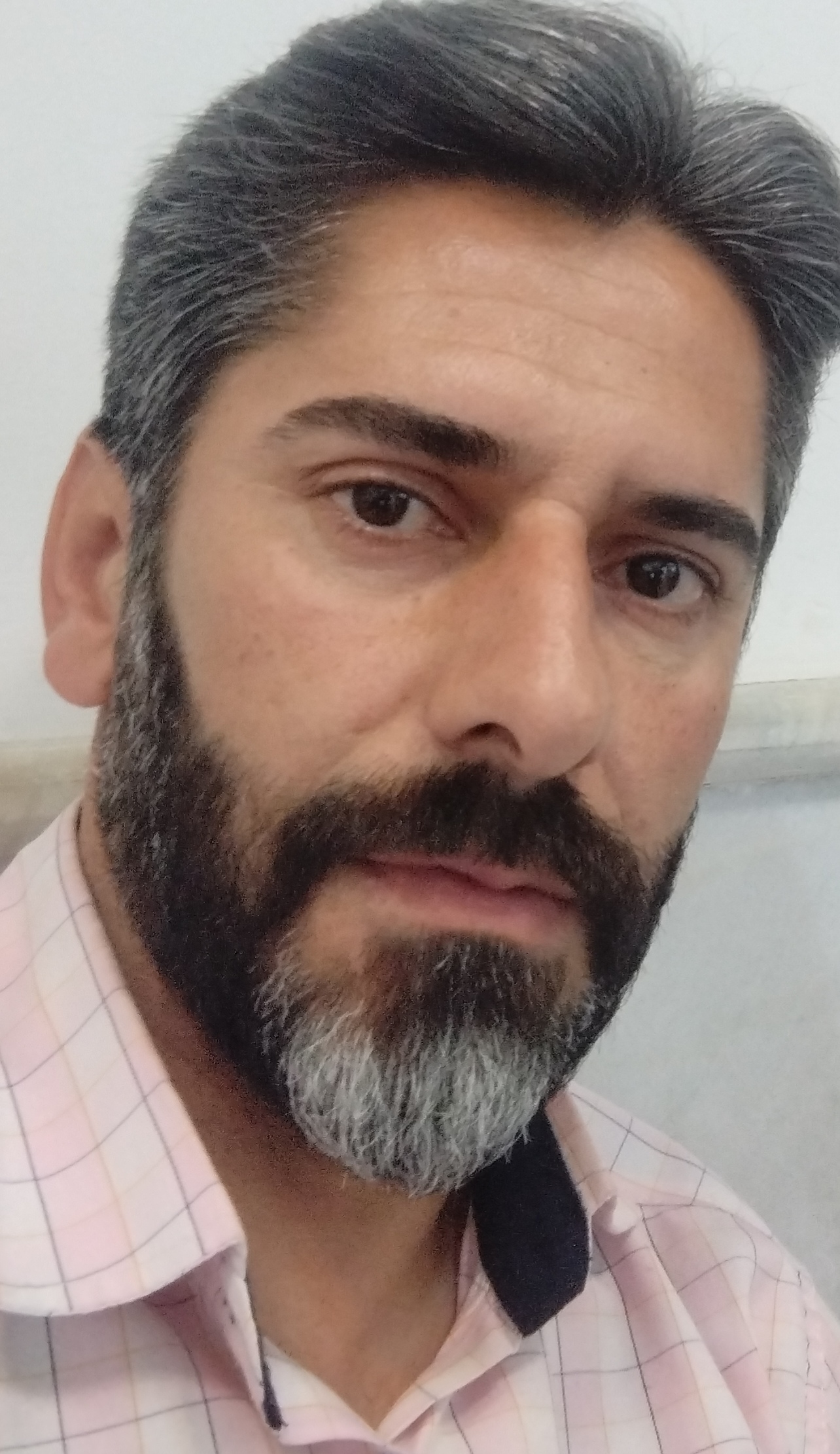 پروفایل محمد احمدی فیروزجائی