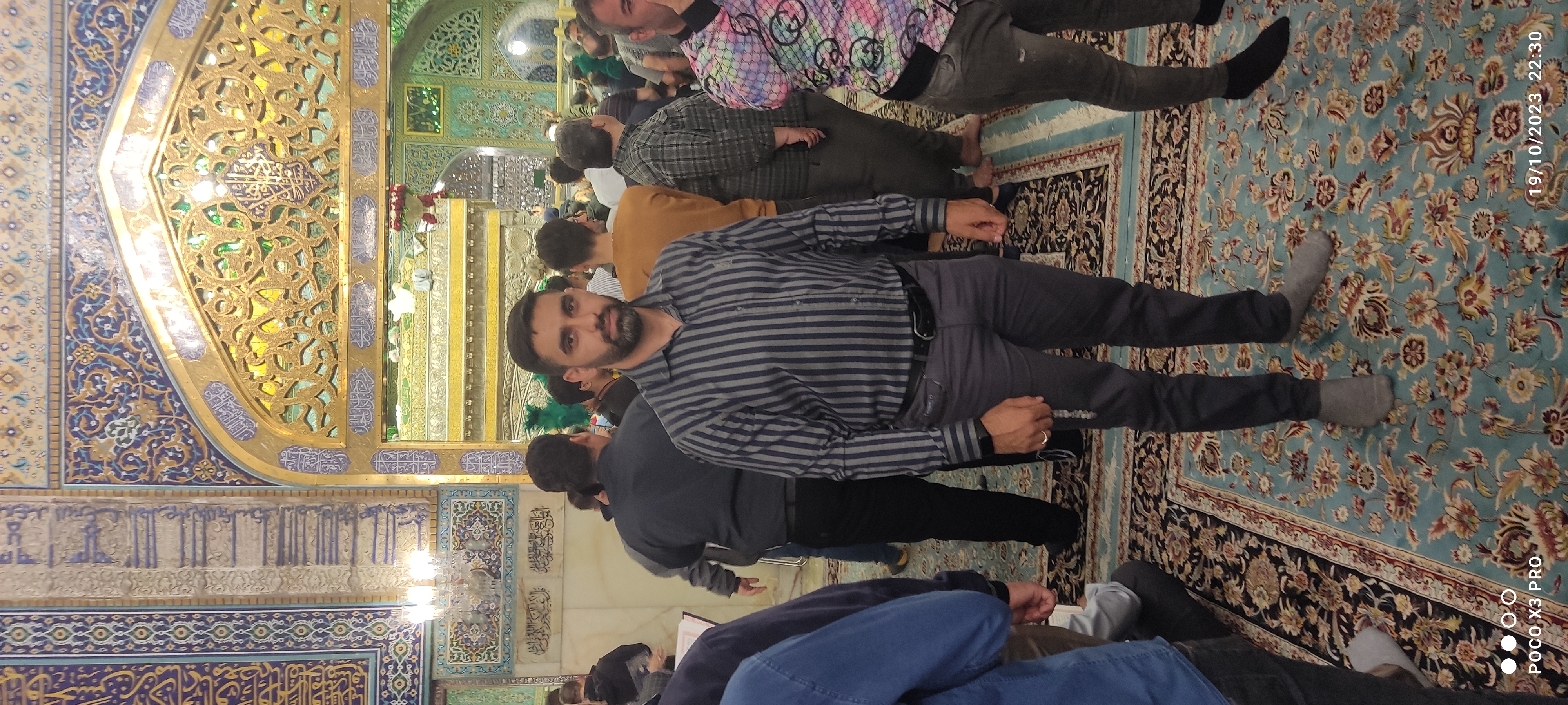 پروفایل محسن تقوائی