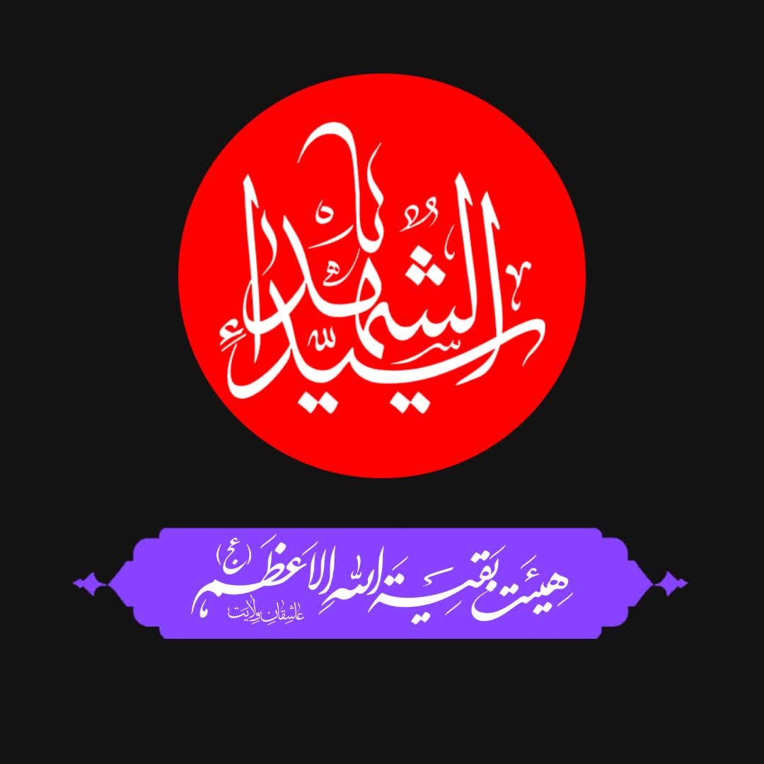 پروفایل نریمان صبوری