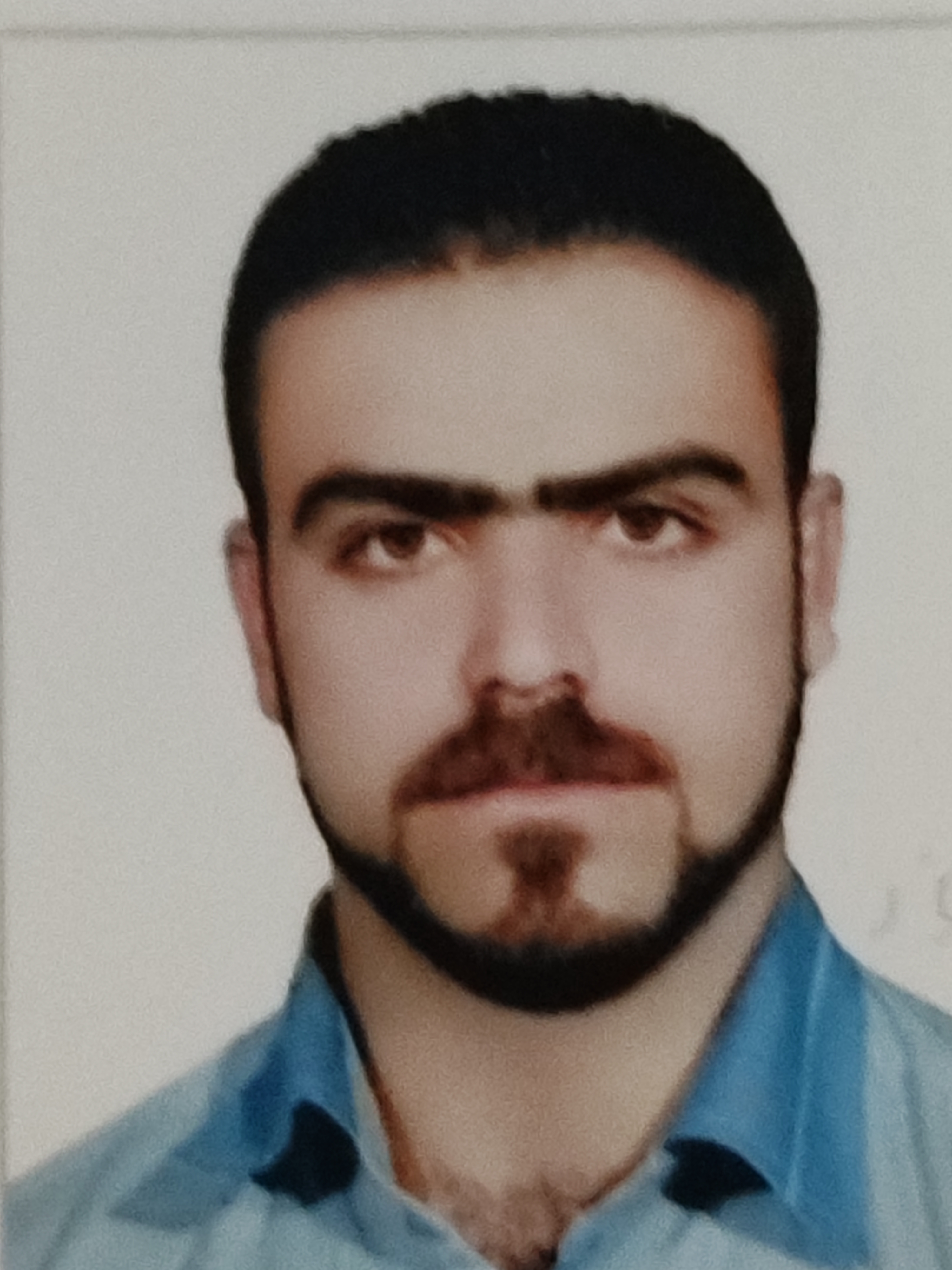 پروفایل محمد رسول افشاری