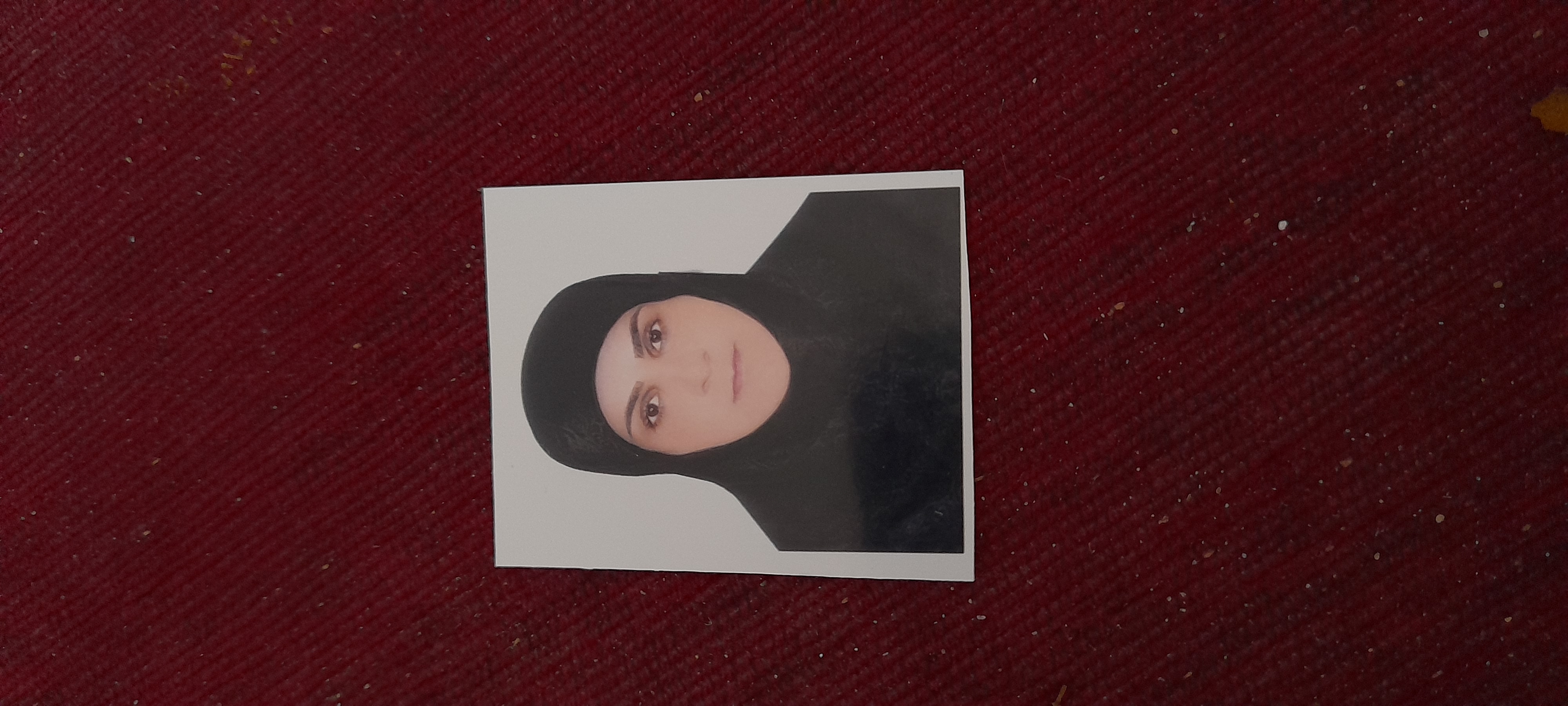 پروفایل مهتاب خاور