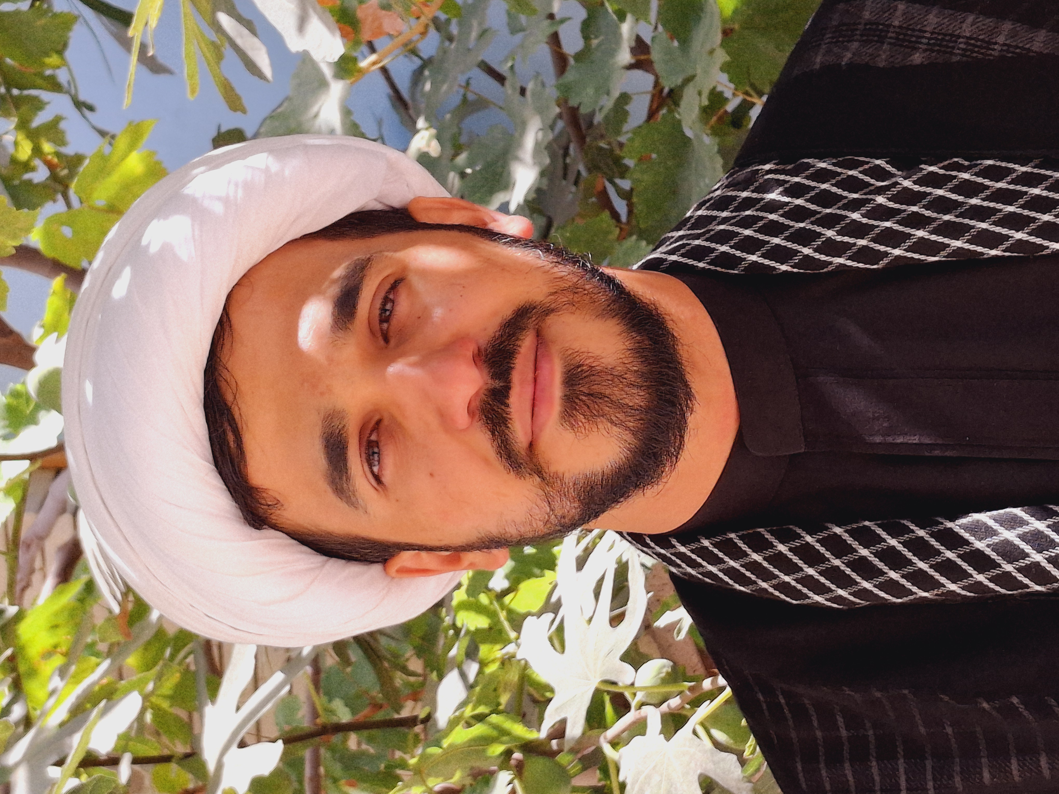 پروفایل حسین هشترودی