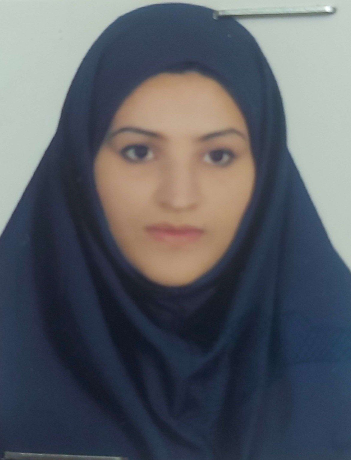 پروفایل ریحان سلمانی